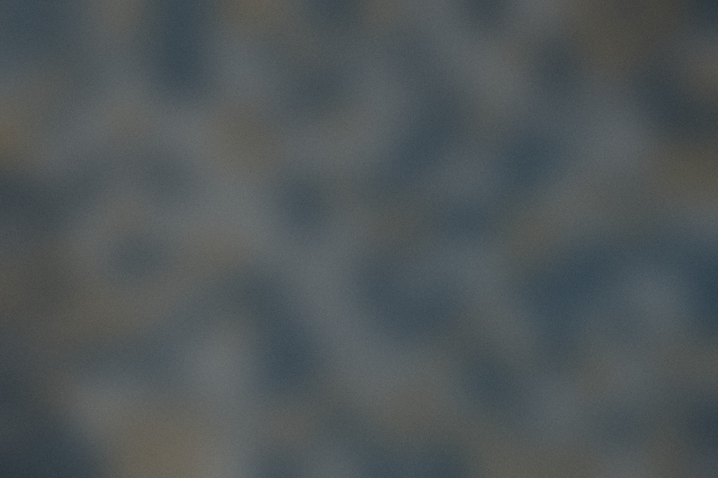 Detail of the prisms near the focal plane.